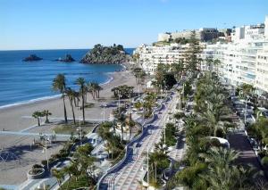 阿尔姆尼卡厄尔特兰克德尔马尔公寓式酒店的享有棕榈树海滩和建筑的景色