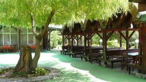瓦尔纳Hotel Briz 3 - Free Parking的庭院中一个带长椅和一棵树的亭子