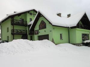 拉伊恰Leniwy Motyl的前面有一堆积雪的绿色房子