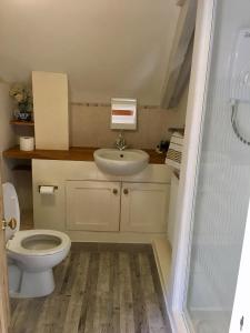 卡姆尔福德Culloden Farmhouse的一间带卫生间和水槽的浴室
