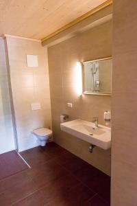 奥西阿赫斯蒂夫切梅德奥西阿赫酒店的一间带水槽和卫生间的浴室