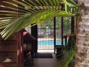 拜伦湾拜伦湾热带雨林度假酒店的棕榈树庭院享有泳池美景。