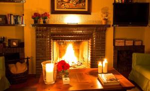Los YébenesLa casona de los yebenes的客厅设有壁炉及两把蜡烛