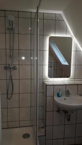 埃森Ferienwohnung Laux的带淋浴、盥洗盆和镜子的浴室