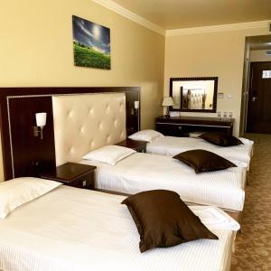 普罗夫迪夫Hotel Chiirite的酒店客房,设有三张床和镜子