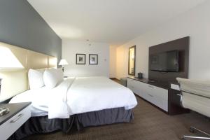 多伦多多伦多当谷套房酒店的一间酒店客房,配有一张大床和一台平面电视