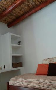 蒂尔卡拉La Cabañita de Tilcara的一间卧室设有一张床和白色的墙壁