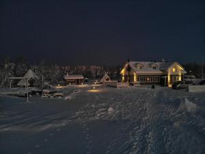 佩洛米耶科亚维度假村的夜晚雪中的房子
