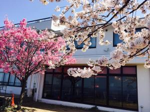 高松布凯苏酒店的一座建筑物前有粉红色花的树