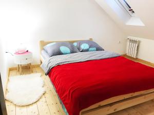 拉伊恰Apartamenty Centrum Rajcza的一间卧室配有一张带红色毯子和蓝色枕头的床