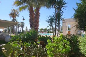 雷阿尔蒙特卡萨贝拉维斯塔公寓式酒店的棕榈树和游泳池度假村