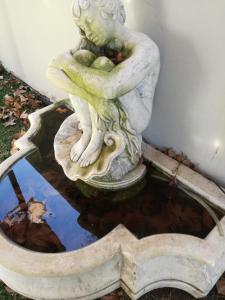 比勒陀利亚Grace的池塘顶上青蛙的雕像