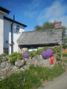 布德Boots Cottage的石头房子,有红色的邮箱和紫色的鲜花