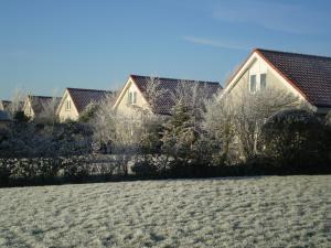 诺德韦克Noordwijk Holiday Rentals的田野庭院里的一群房子
