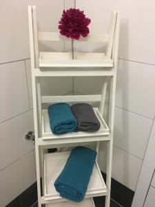 奥贝朴菲斯科菲勒尔公寓的浴室提供白色毛巾架和毛巾