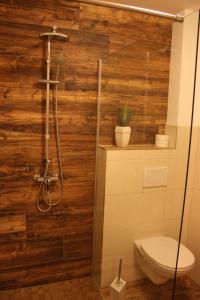 海格-安豪斯奥克Bed & Breakfast的浴室设有卫生间和带木墙的淋浴。