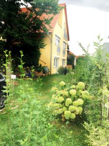 莱因费尔登-埃希特尔丁根莫特姆噶斯特公寓的黄色房子前面的花园