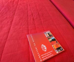 塞奥-德乌赫尔大道酒店的一张在红毯上坐着的护照