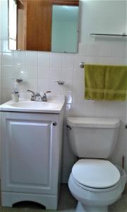 Prattsville布莱克拜尔汽车旅馆的浴室配有白色卫生间和盥洗盆。