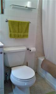 Prattsville布莱克拜尔汽车旅馆的浴室设有白色卫生间和绿毛巾。
