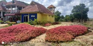 瓜拉勿述伊兹村庄酒店的前面有五颜六色的植物的房子