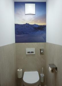 上陶恩Aparthotel Bernhof的一间带卫生间的浴室和墙上的绘画