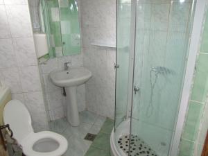 瓦特拉多尔内Hotel Silva的带淋浴、卫生间和盥洗盆的浴室