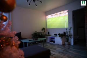 雷扎尔菲厄泽雷达夫尤都公寓的客厅设有电视,墙上播放足球比赛