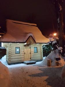 扎科帕内Dadejówka Zakopane的一座小房子,晚上被雪覆盖