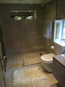 多尔金Castle Mill Bed and Breakfast的带淋浴和卫生间的浴室以及地毯。