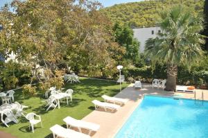 波罗斯Kaikas Studios & Apartments的后院设有游泳池、椅子和棕榈树