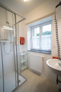 巴特奥塞斯陶德威尔特酒店的带淋浴和盥洗盆的浴室