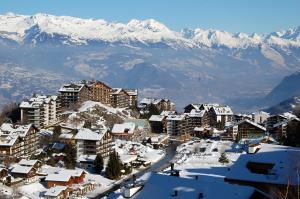 南达La Foret Apartment With Spectacular Mountain Views的山地下雪的小镇