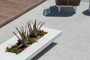 利迈纳里亚360ᵒ Luxury View Collection - Adults Only的人行道上长着植物和花的白色长凳
