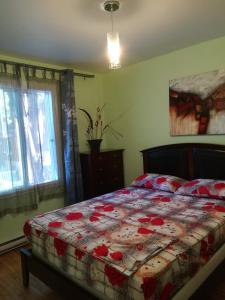 蒙特利尔Montreal Authentic appartment的一间卧室配有一张带红色和白色棉被的床