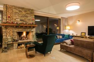 班斯科Luxury Chalet & Spa Tia Maria的客厅设有壁炉和沙发。