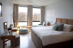 阿姆斯特丹Skotel Amsterdam, Hotelschool The Hague的相册照片