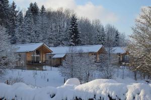 瓦尔德基兴FrongaHOF的雪地里的小木屋,有雪覆盖的树木