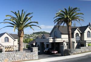 旺阿雷波尔多旅馆 的两棵棕榈树在房子前面