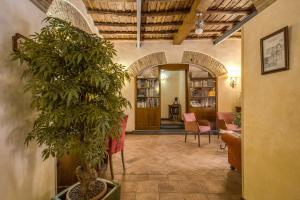 罗马圣卡利斯托酒店的走廊,楼里有一棵植物的房间