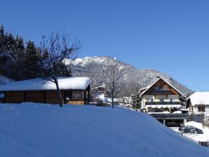 魏斯布里阿赫B&B Landhof Schober的山前的雪盖房子