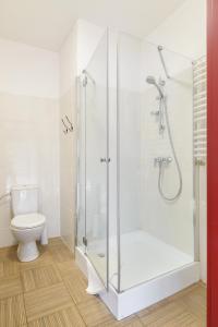 尼苏利采Rokitnica 37的带淋浴和卫生间的浴室