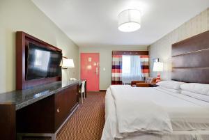 斯科茨3棕榈酒店的配有一张床和一台平面电视的酒店客房