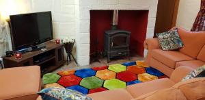 卡斯尔格雷戈里Stradbally cottages的客厅配有电视和色彩缤纷的地毯