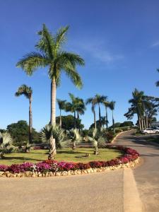 雅博蒂卡图巴斯Village Resort的公园里一条种满棕榈树和鲜花的街道