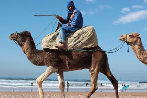 塔姆拉赫特乌兹达尔Sunset Surfhouse Morocco的骑骆驼的人