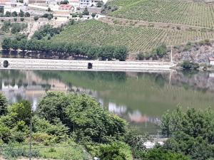 弗格萨Casa da Padaria的享有河流美景,火车穿过桥