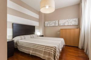 瓦伦西亚LUXURY PENTHOUSE near beach/Seaview的一间卧室配有一张带条纹毯子的大床