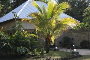 Sayab CampCalico Jack's Resort的房屋前的棕榈树
