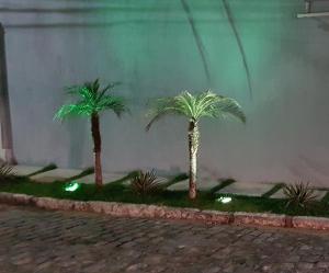 卡波布里奥卡布弗里乌度假屋的一座灯火通明的建筑前的三棵棕榈树